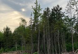 24-01 Chultun CRT  Lower Coverdale, NB E1J 1E5