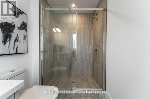 2 - 3090 Petty Road, London South (South W), ON - Indoor Photo Showing Bathroom
