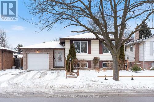 265 BRANTWOOD PARK ROAD  Brantford, ON N3P 1P2