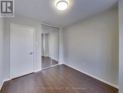 Large mirror closet door - 