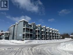 308 - 34 BAYFIELD STREET  Meaford, ON N4L 1Y2