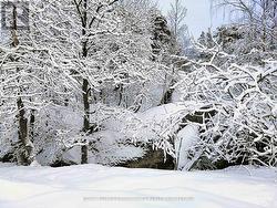 384 BIG CROSBY LAKE ROAD  Rideau Lakes, ON K0G 1X0