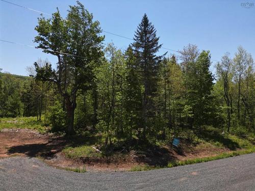 17 Glades Run, Wentworth, NS 