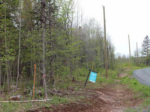 17 Glades Run, Wentworth, NS 