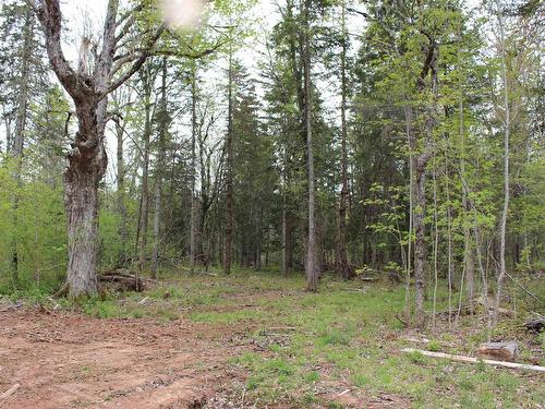 17 Glades Run, Wentworth, NS 