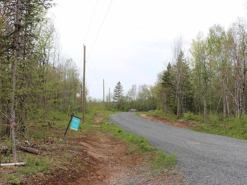 17 Glades Run, Wentworth, NS 