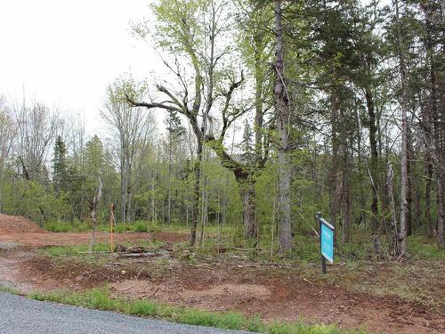17 Glades Run, Wentworth, NS 
