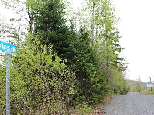 17 Glades Run, Wentworth, NS 