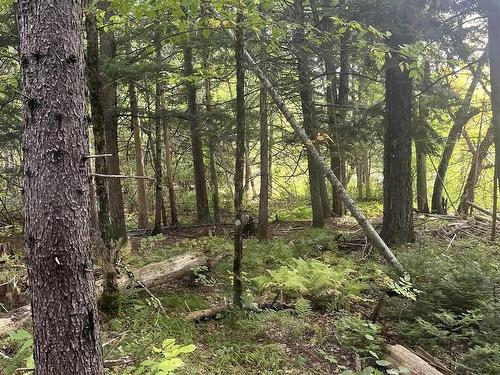 17 Glades Run, Wentworth, NS 