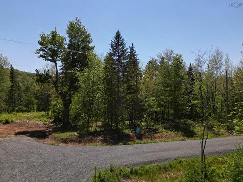 17 Glades Run, Wentworth, NS 