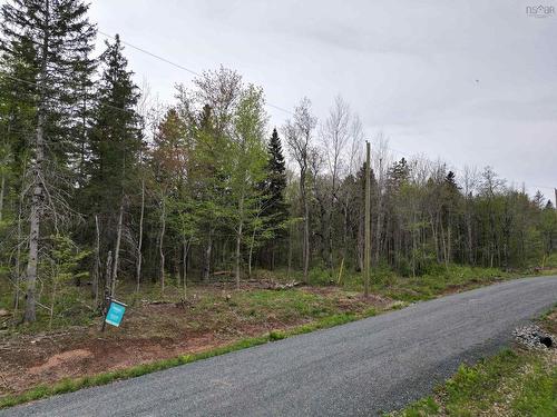 17 Glades Run, Wentworth, NS 
