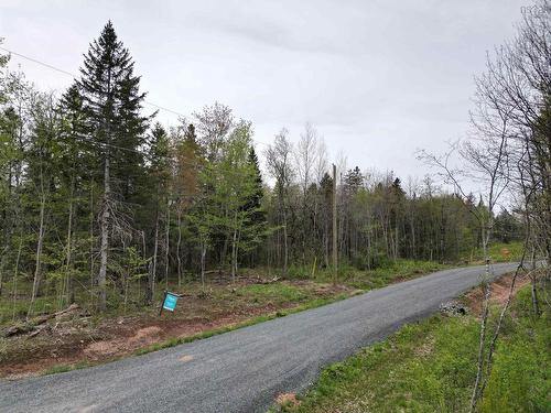 17 Glades Run, Wentworth, NS 