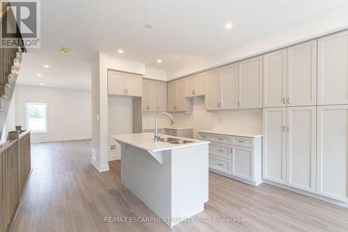 15 Raspberry Lane, Hamilton, ON - Indoor Photo Showing Kitchen With Double Sink With Upgraded Kitchen