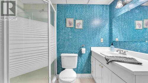 Basement 3PC Washroom - 79 Wintergarden Road, London East (East A), ON - Indoor Photo Showing Bathroom