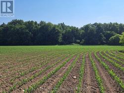 74018 BABYLON LINE  Bluewater (Zurich), ON N0M 2T0