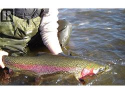 5921 CEDAR CREEK ROAD  Likely, BC V0L 1N0