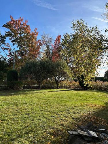 Terre/Terrain - 600 Av. Des Érables, Brigham, QC - Outdoor