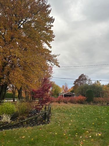 Terre/Terrain - 600 Av. Des Érables, Brigham, QC - Outdoor With View