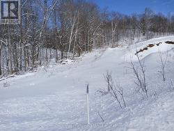 406 CROZIER ROAD  Tay Valley, ON K0G 1X0