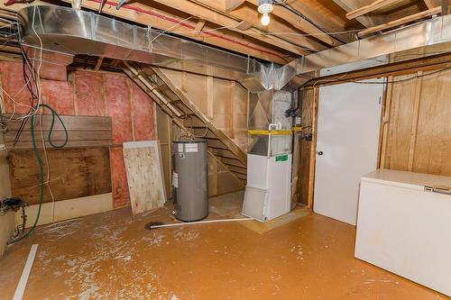30 Bishop Bay, Carman, MB - Indoor Photo Showing Basement