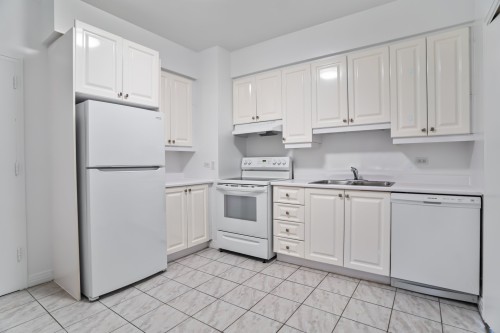 Kitchen - 703-3465 Rue Redpath, Montréal (Ville-Marie), QC - Indoor Photo Showing Kitchen With Double Sink