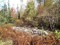 EAST CLIFFORD  East Clifford, NS B4V 1Y7