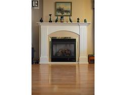 Gas fireplace in living room - 