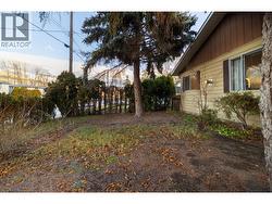 Large evergreens for shade - 