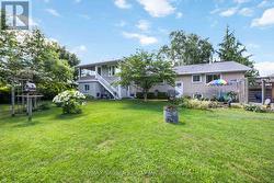 View of back yard in summer time - 