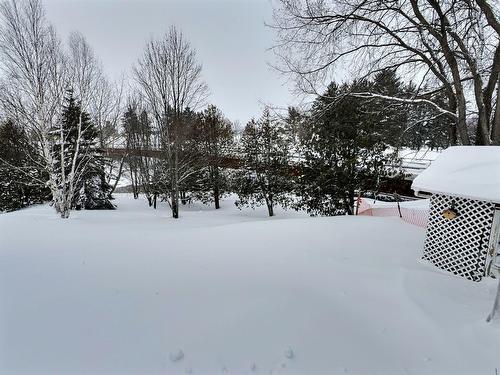 Cour - 762 Rue Principale, Rémigny, QC - Outdoor With View