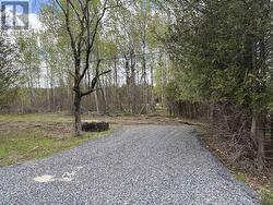 0 KENYON CONCESSION 1 ROAD S North Glengarry, ON K0C 1B0