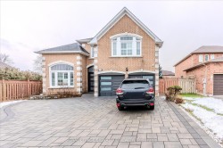 Bsmt-6382 Donway Drive  Mississauga, ON L5V 1J5