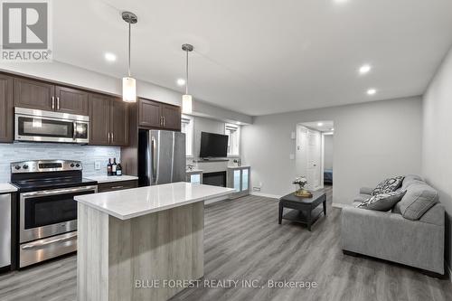 50 - 3200 Singleton Avenue, London South (South W), ON - Indoor Photo Showing Kitchen With Stainless Steel Kitchen With Upgraded Kitchen