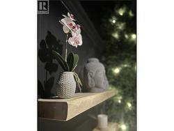 814A BRUNETTE AVENUE  Coquitlam, BC V3K 1C4