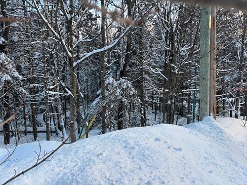 Façade - 1Re Avenue, Val-Morin, QC 