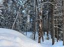 À construire - 1Re Avenue, Val-Morin, QC 