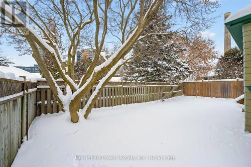 36 Linden Avenue, Kitchener, ON - Outdoor