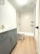 Basement Bathroom - 