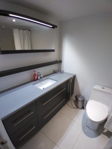 Salle de bains attenante à la CCP - 505-3455 Rue Drummond, Montréal (Ville-Marie), QC - Indoor Photo Showing Bathroom