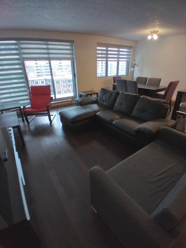 Vue d'ensemble - 505-3455 Rue Drummond, Montréal (Ville-Marie), QC - Indoor Photo Showing Living Room