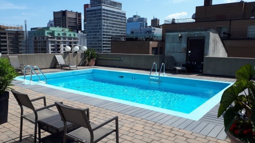 Piscine - 505-3455 Rue Drummond, Montréal (Ville-Marie), QC - Outdoor With In Ground Pool With Deck Patio Veranda