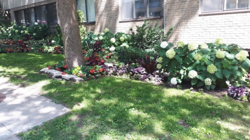 Extérieur - 505-3455 Rue Drummond, Montréal (Ville-Marie), QC - Outdoor