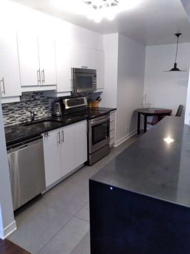Cuisine - 505-3455 Rue Drummond, Montréal (Ville-Marie), QC - Indoor Photo Showing Kitchen With Double Sink