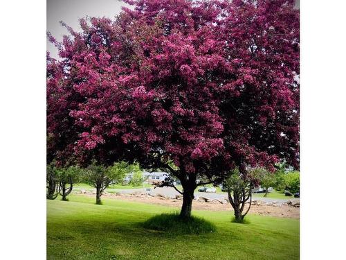 13844 Ns-4, Aulds Cove, NS 