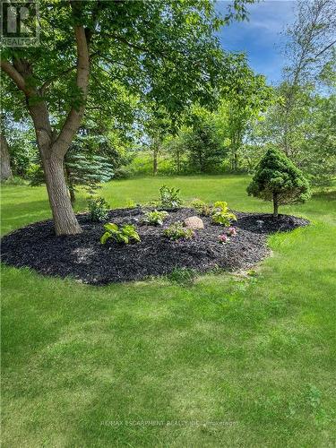 5295 Trinity Church Road, Hamilton, ON - Outdoor