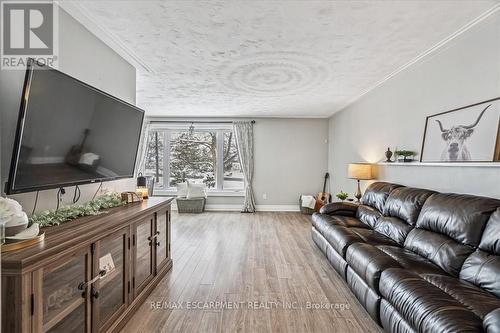 5295 Trinity Church Road, Hamilton, ON - Indoor Photo Showing Living Room