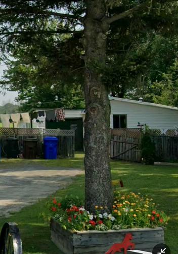 Cour - 2058 Rg Des Continuations, Saint-Jacques, QC - Outdoor