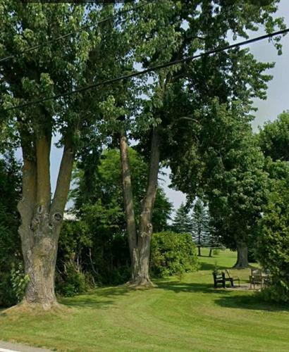 Cour - 2058 Rg Des Continuations, Saint-Jacques, QC - Outdoor