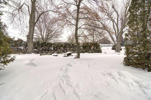 Cour - 2058 Rg Des Continuations, Saint-Jacques, QC - Outdoor With View