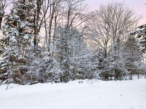 Terre/Terrain - 90 Rue Wilkinson, Dunham, QC 